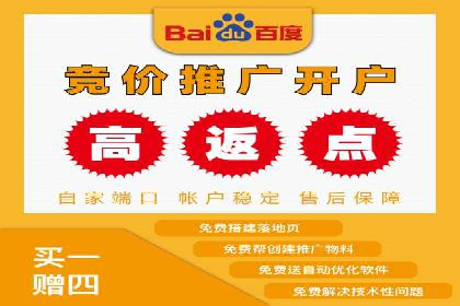 竞价SEM案例分享：行业霸主崛起之路